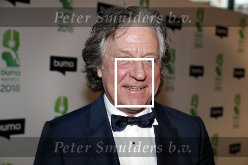 Amsterdam 5 maart 2018 
Buma prijzen in theater Amsterdam. Tommy Peters