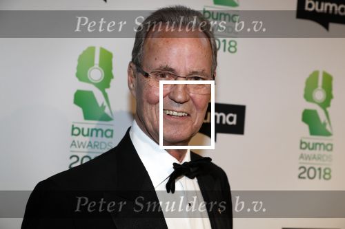 Amsterdam 5 maart 2018 
Buma prijzen in theater Amsterdam. Tony Berk