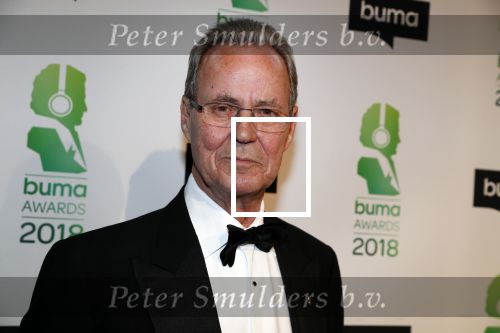 Amsterdam 5 maart 2018 
Buma prijzen in theater Amsterdam. Tony Berk