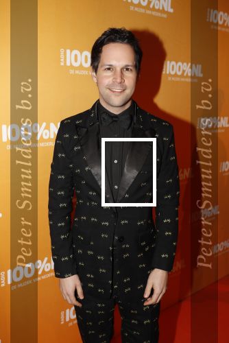 Amsterdam 20 februari 2018
Uitreiking 100% NL awards in club Panama. Victor Mids
