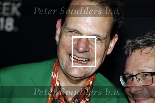 Amsterdam 9 maart 2018 
Boekenbal 2018 in de schouwburg van Amsterdam. Vincent Bijlo met ...