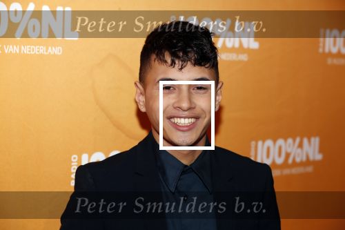 Amsterdam 20 februari 2018
Uitreiking 100% NL awards in club Panama. Vinchenzo
