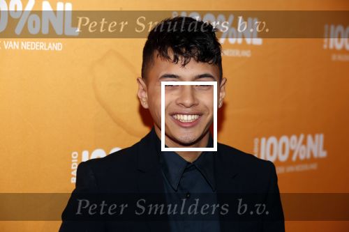 Amsterdam 20 februari 2018
Uitreiking 100% NL awards in club Panama. Vinchenzo