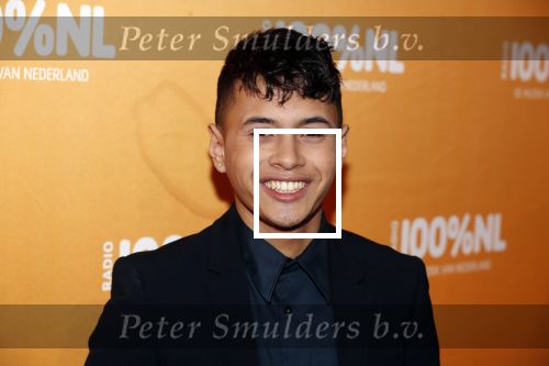 Amsterdam 20 februari 2018
Uitreiking 100% NL awards in club Panama. Vinchenzo