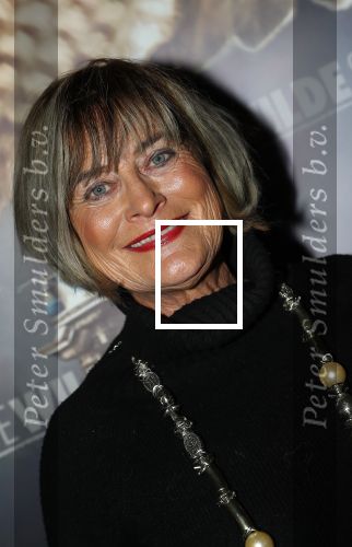Amsterdam, 26 Februari 2018 Premiere van De wilde stad
Vivian Boelen