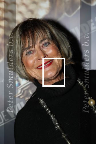 Amsterdam, 26 Februari 2018 Premiere van De wilde stad
Vivian Boelen