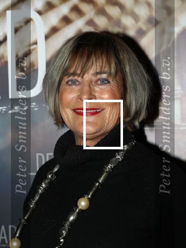 Amsterdam, 26 Februari 2018 Premiere van De wilde stad
Vivian Boelen