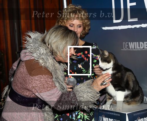 Amsterdam, 26 Februari 2018 Premiere van De wilde stad
Tineke de Nooij