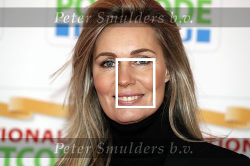 Amsterdam 15 februari 2018
Goed geld gala van de postcodeloterij in carre met als speciale gasten Rafael Nadal met vrouw en Leonardo de Caprio. Vivian Slingerland