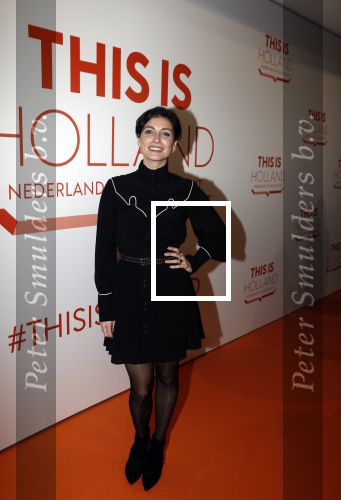 Amsterdam 1 februari 2018 
Opening This is Holland. Vivienne v d Assem