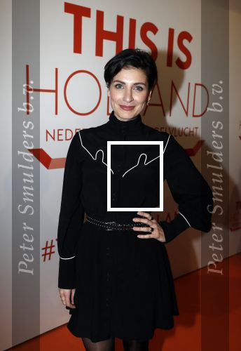 Amsterdam 1 februari 2018 
Opening This is Holland. Vivienne v d Assem