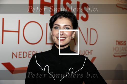 Amsterdam 1 februari 2018 
Opening This is Holland. Vivienne v d Assem