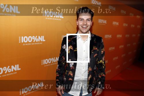 Amsterdam 20 februari 2018
Uitreiking 100% NL awards in club Panama. Wander