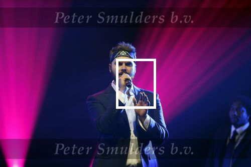 Amsterdam 12 februari 2018
Uitreiking Edison muziekprijzen in de westergasfabriek. Wulf