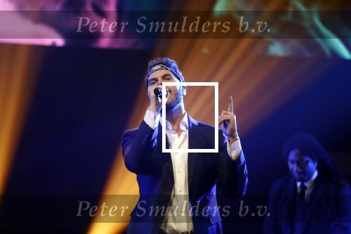 Amsterdam 12 februari 2018
Uitreiking Edison muziekprijzen in de westergasfabriek. Wulf