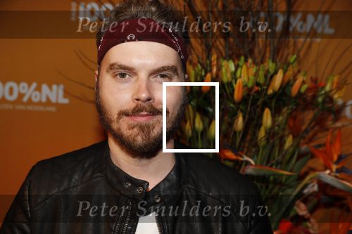 Amsterdam 20 februari 2018
Uitreiking 100% NL awards in club Panama. Wulf