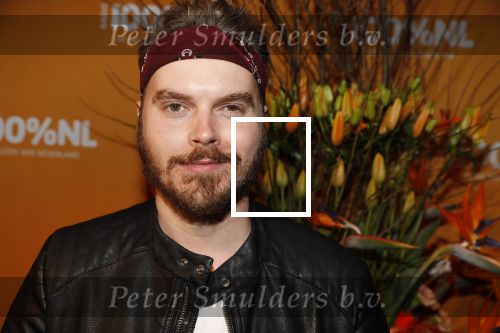 Amsterdam 20 februari 2018
Uitreiking 100% NL awards in club Panama. Wulf