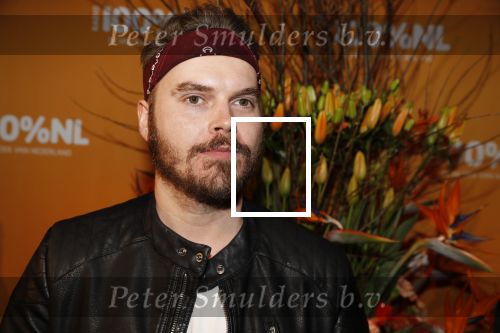 Amsterdam 20 februari 2018
Uitreiking 100% NL awards in club Panama. Wulf