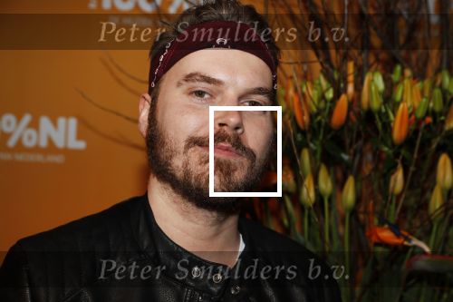 Amsterdam 20 februari 2018
Uitreiking 100% NL awards in club Panama. Wulf