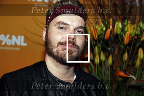 Amsterdam 20 februari 2018
Uitreiking 100% NL awards in club Panama. Wulf