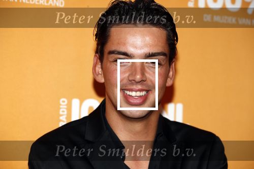 Amsterdam 20 februari 2018
Uitreiking 100% NL awards in club Panama. 
Yves Berendse