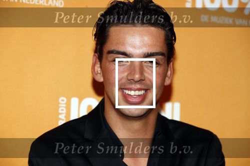 Amsterdam 20 februari 2018
Uitreiking 100% NL awards in club Panama. 
Yves Berendse