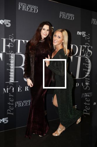 Amsterdam 6 februari 2018
Premiere 50 shades Freed in Tuschinski. vriendin Yvette R
