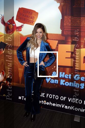 Amsterdam 11 februari 2018
Premiere Ted en het geheim van koning Midas in Pathe arena. Yvonne Coldeweijer met vriend??