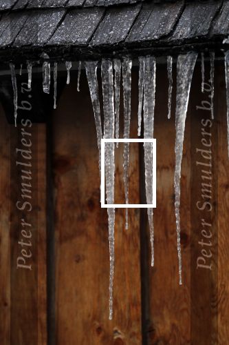 Lech/ Oberlech 25 februari 2018
ijspegels