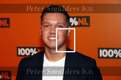 Amsterdam 7 februari 2019
Uitreiking 100%NL awards.