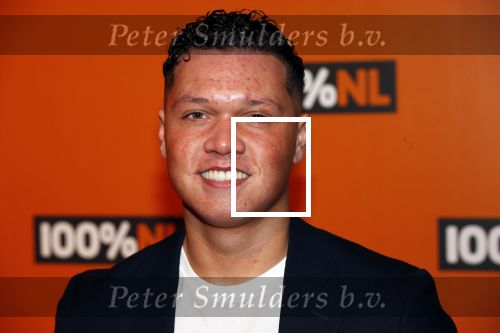 Amsterdam 7 februari 2019
Uitreiking 100%NL awards.