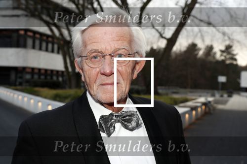 Hilversum 11 maart 2019
Uitreiking BUMA prijzen in studio 21. Ad Roland