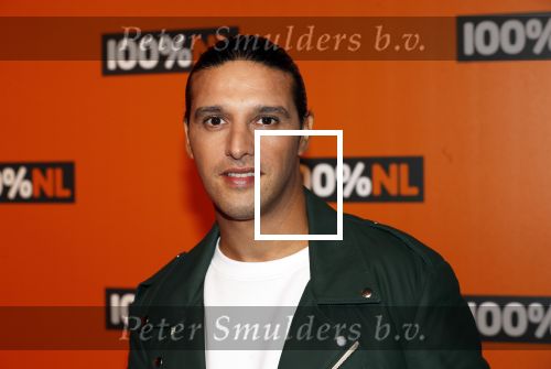 Amsterdam 7 februari 2019
Uitreiking 100%NL awards.