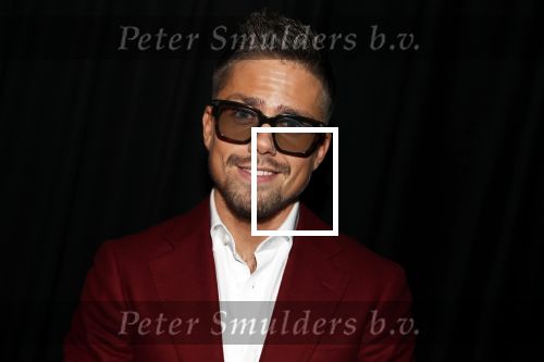 Amsterdam 11 februari 2019
Uitreiking Edisons bij de westergasfabriek. Andre Hazes kwam met zijn vriendin Monique en Manager Sjoerd Bodewes