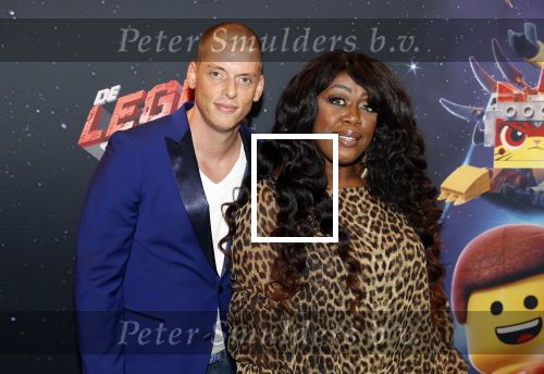 Utrecht 3 februari 2019
Premiere Lego film in de bioscoop bij de jaarbeurs.
Berget Lewis kwam met haar nieuwe vriend