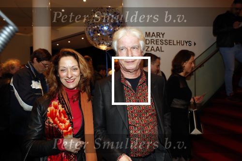 Amsterdam 6 februari 2019
Premiere de waarheid in het de la mar theater. Boudewijn de Groot met zijn vrouw