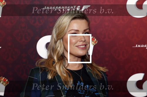 Amsterdam 10 februari 2019
Premiere Corgi in pathe arena. Bridget Maasland kwam met haar zoon Mees ouders en vrienden