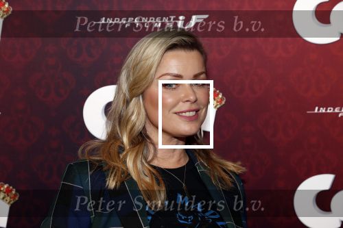 Amsterdam 10 februari 2019
Premiere Corgi in pathe arena. Bridget Maasland kwam met haar zoon Mees ouders en vrienden