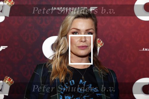 Amsterdam 10 februari 2019
Premiere Corgi in pathe arena. Bridget Maasland kwam met haar zoon Mees ouders en vrienden