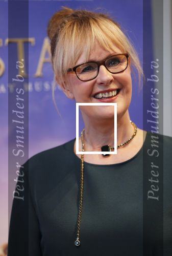 Amsterdam 14 februari 2019
Presentatie Cast Anastasia . De cast bestaat uit Carline Brouwer, Ad Knippels, Ellen Evers, Milan van Waardenburg, Tessa Sunniva van Tol, Rene van Kooten, Gerrie van der Klei.  Albert Verlinde van stage entertainment presenteert de cast van de Broadway musical Anastasia in Hermitage Amsterdam.