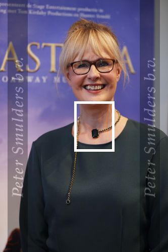 Amsterdam 14 februari 2019
Presentatie Cast Anastasia . De cast bestaat uit Carline Brouwer, Ad Knippels, Ellen Evers, Milan van Waardenburg, Tessa Sunniva van Tol, Rene van Kooten, Gerrie van der Klei.  Albert Verlinde van stage entertainment presenteert de cast van de Broadway musical Anastasia in Hermitage Amsterdam.