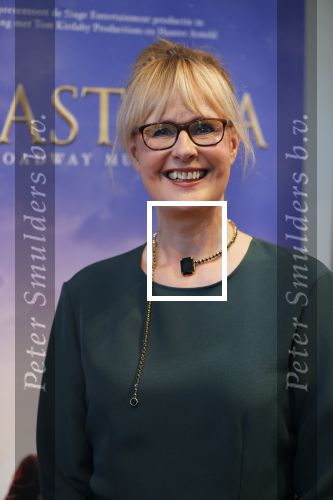 Amsterdam 14 februari 2019
Presentatie Cast Anastasia . De cast bestaat uit Carline Brouwer, Ad Knippels, Ellen Evers, Milan van Waardenburg, Tessa Sunniva van Tol, Rene van Kooten, Gerrie van der Klei.  Albert Verlinde van stage entertainment presenteert de cast van de Broadway musical Anastasia in Hermitage Amsterdam.