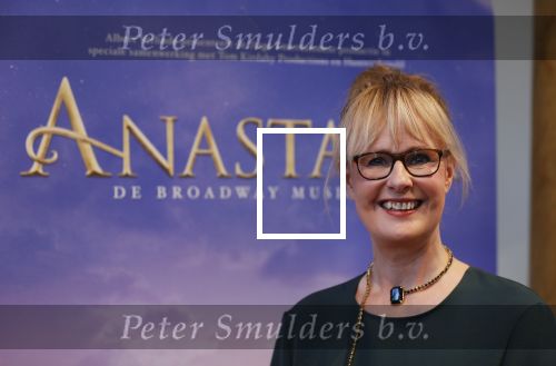 Amsterdam 14 februari 2019
Presentatie Cast Anastasia . De cast bestaat uit Carline Brouwer, Ad Knippels, Ellen Evers, Milan van Waardenburg, Tessa Sunniva van Tol, Rene van Kooten, Gerrie van der Klei.  Albert Verlinde van stage entertainment presenteert de cast van de Broadway musical Anastasia in Hermitage Amsterdam.
