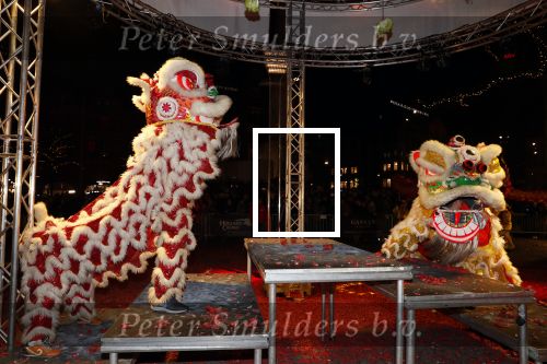 Amsterdam 5 februari 2019
Won Yip organiseert chinees nieuwjaar bij majestic op de dam.