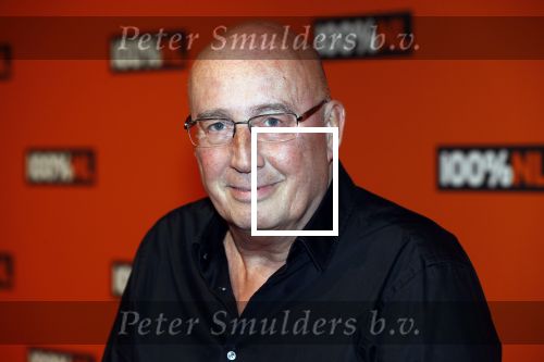 Amsterdam 7 februari 2019
Uitreiking 100%NL awards. Daniel Dekker