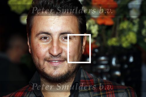 Amsterdam 7 februari 2019
Uitreiking 100%NL awards. Danny Froger