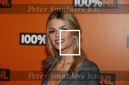 Amsterdam 7 februari 2019
Uitreiking 100%NL awards. Davina Michelle