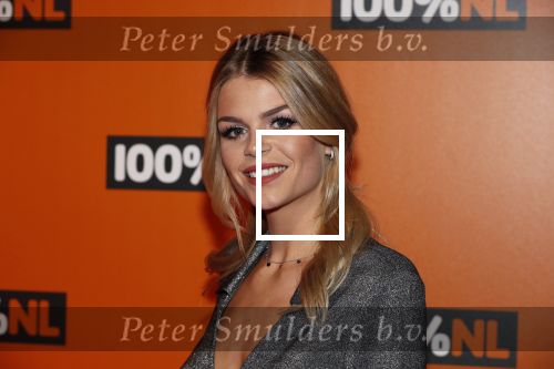 Amsterdam 7 februari 2019
Uitreiking 100%NL awards. Davina Michelle