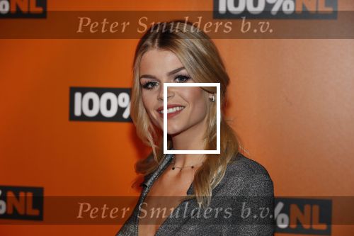Amsterdam 7 februari 2019
Uitreiking 100%NL awards. Davina Michelle
