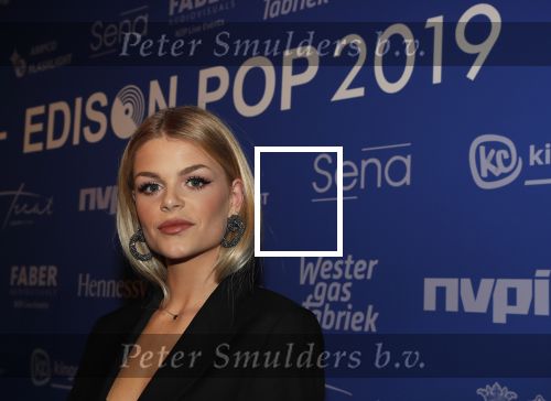 Amsterdam 11 februari 2019
Uitreiking Edisons bij de westergasfabriek. Davina Michelle met band